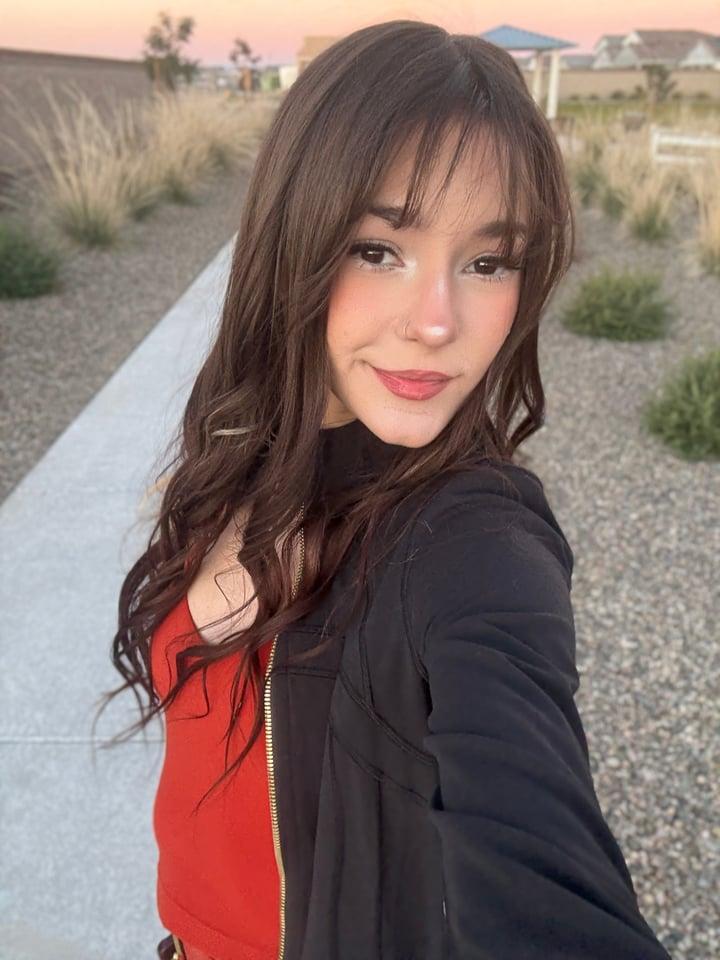 kittykat 🐱 profile picture