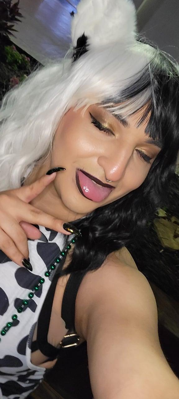 Alexmitchels12 profile picture