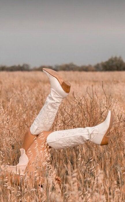 Alisouthern profile picture