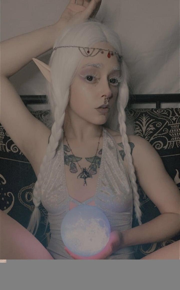 Moth profile picture