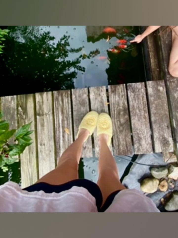 Aradia profile picture