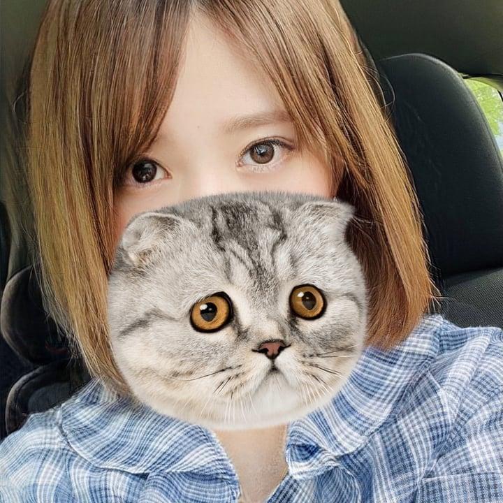 Bikyakuneko777 profile picture