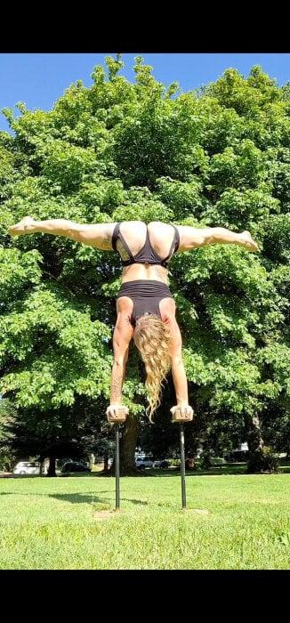 Cirquedelicious profile picture