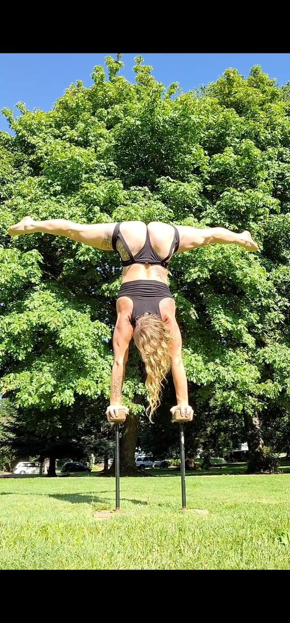 Cirquedelicious profile picture