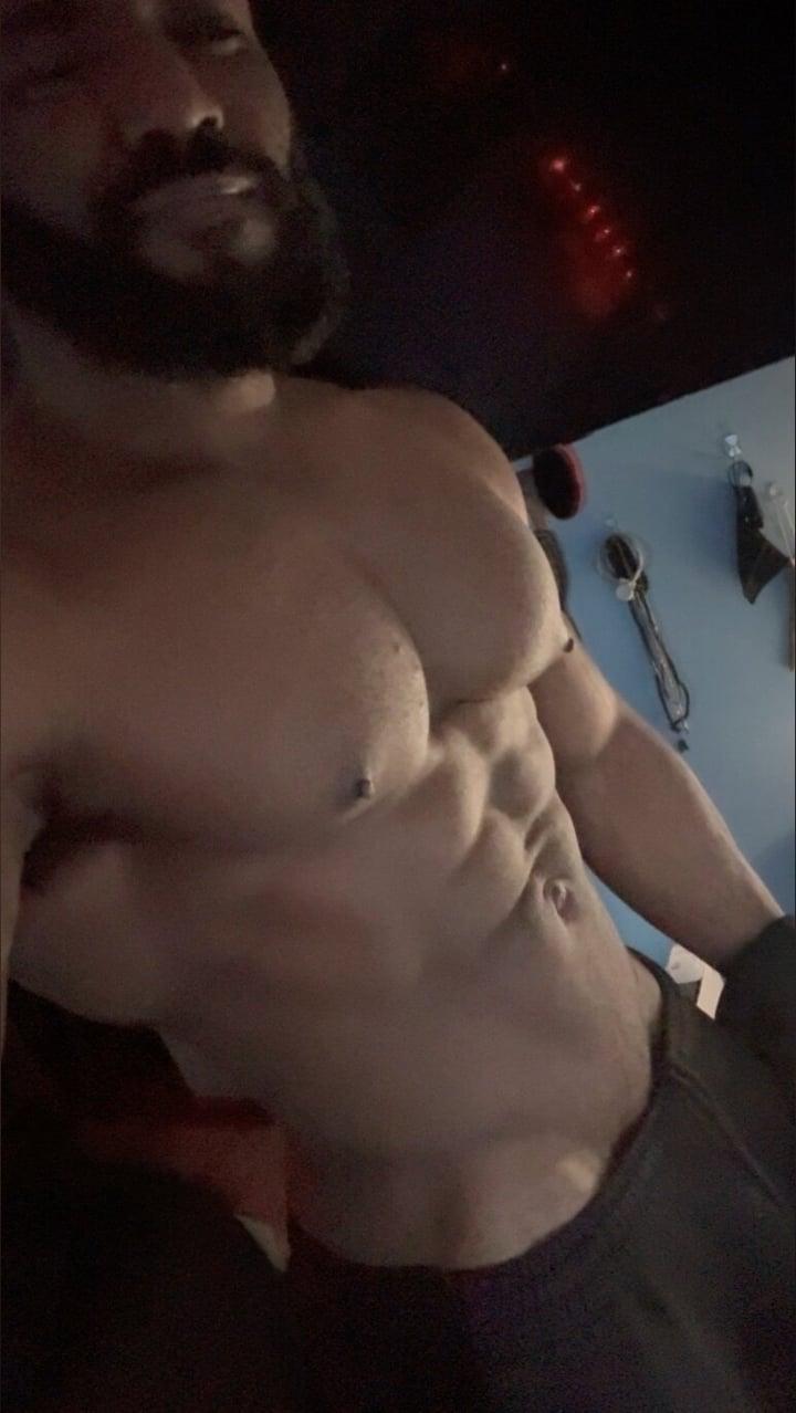 The Shogun profile picture