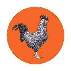 Doodledudez profile picture