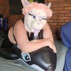 LewdDragonClub profile picture