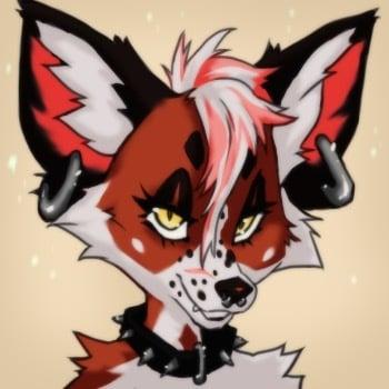Foxanatomylite profile picture