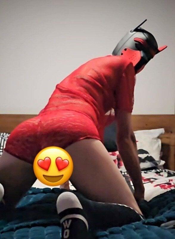 Furryfunboy profile picture