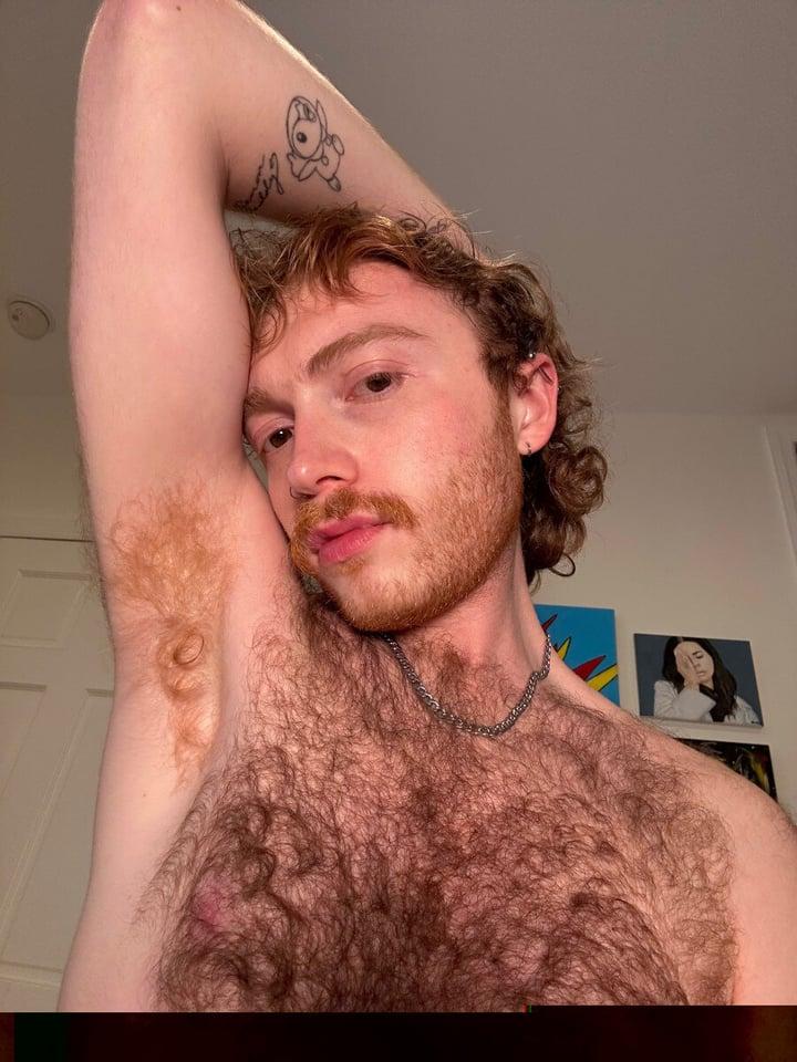 Gingrfur profile picture