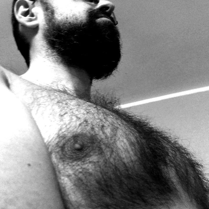 Hairyteddy76 profile picture