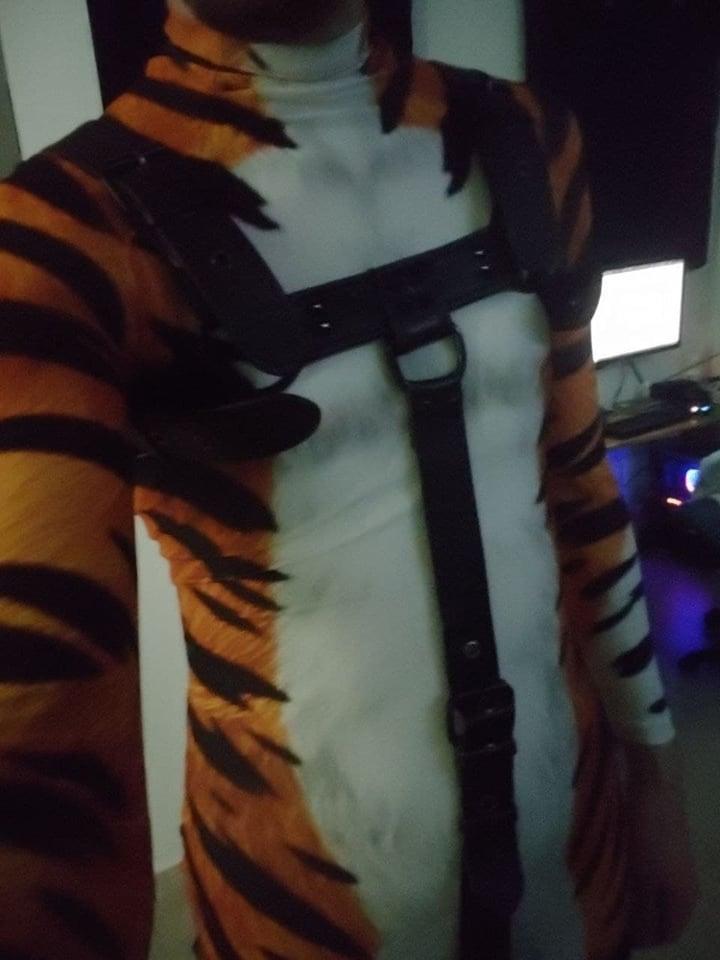 Tiger's den profile picture