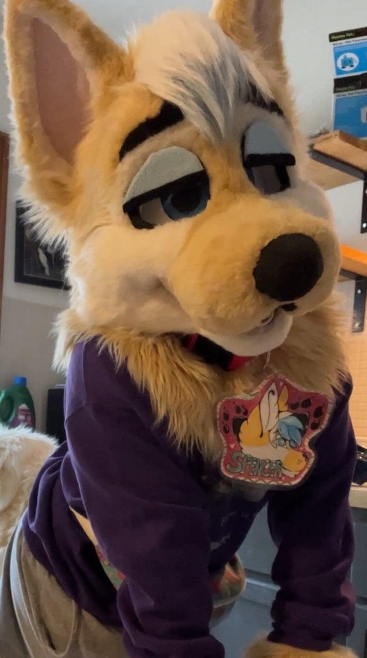 spencer🏳️‍⚧️🏳️‍🌈 | FTM femboy profile picture