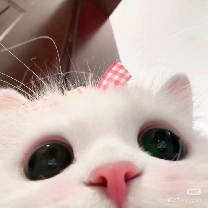 Me0629 profile picture