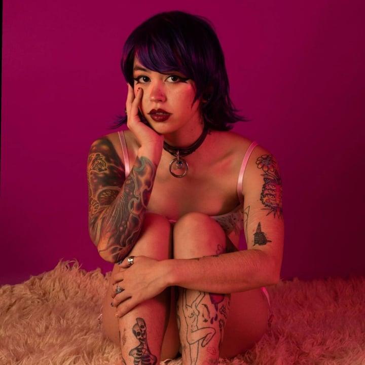 Meowmx profile picture