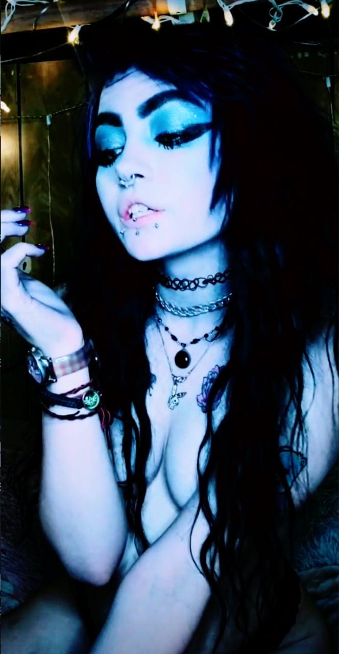 𝕸𝖔𝖑𝖑𝖞𝕽𝖔𝖙 ♡ profile picture