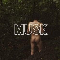 Muskzine profile picture