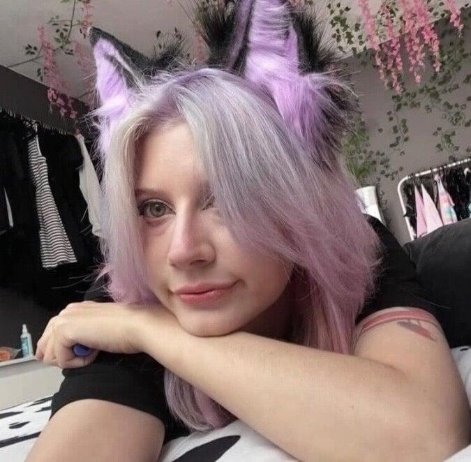🌸Blushy Kittn🌸 [Free] profile picture