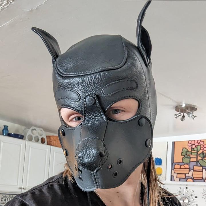 Smug Coyote profile picture