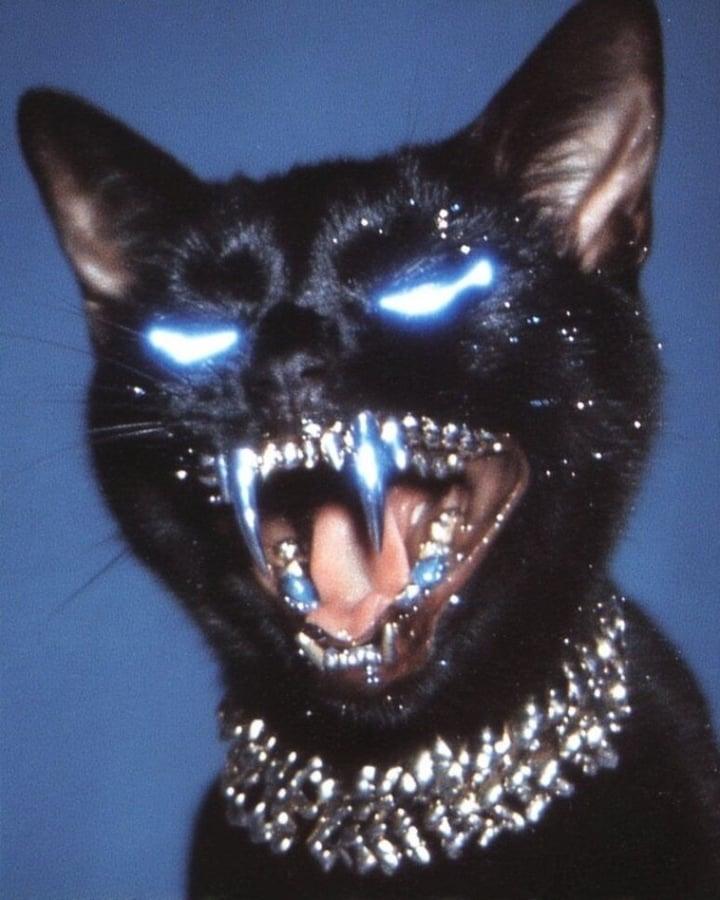 Nicoralys profile picture