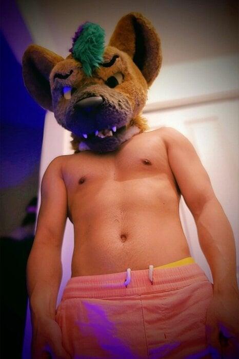 Norsehyena profile picture