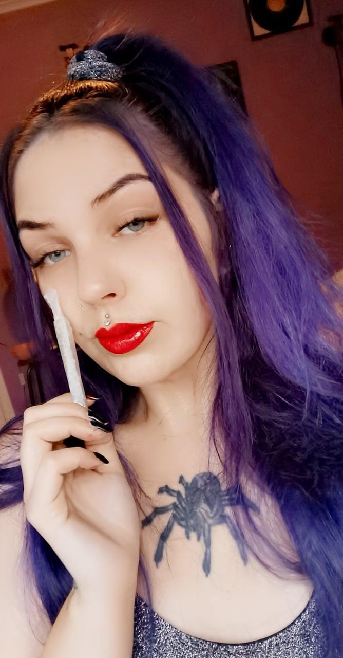 Norwegianstonerr profile picture