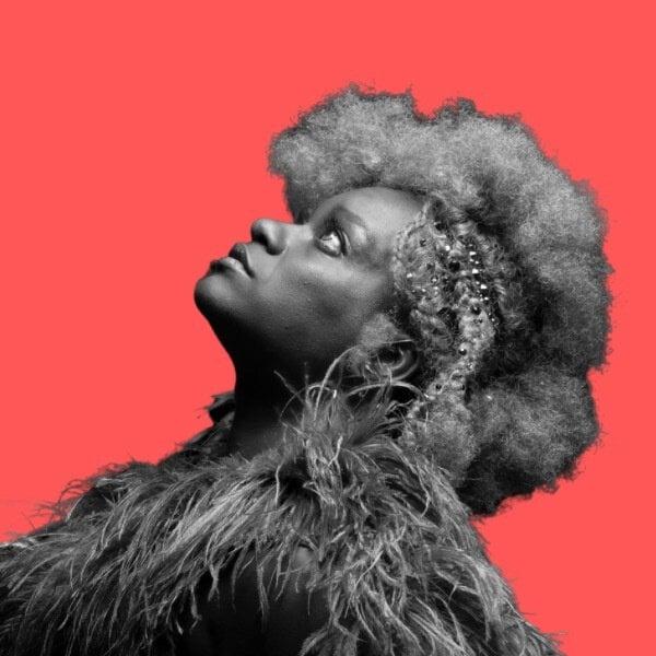 Onyxblackrox profile picture