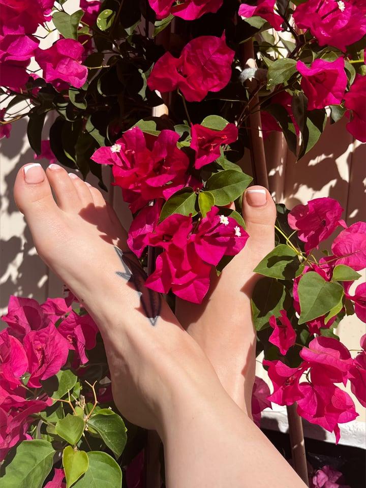 Origamimamii profile picture