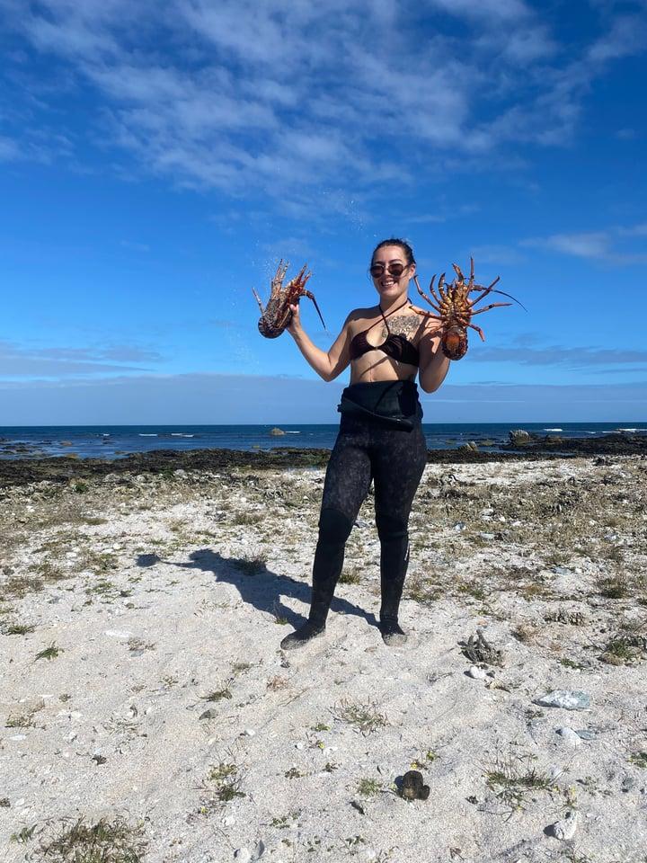 Pariscowgirl profile picture