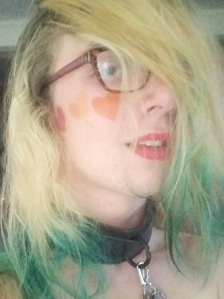 Plushicdream profile picture