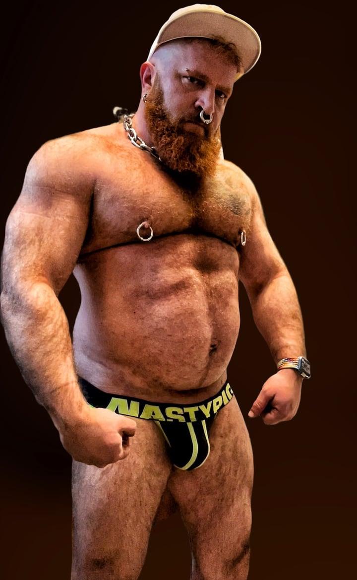 Pup Shredder profile picture