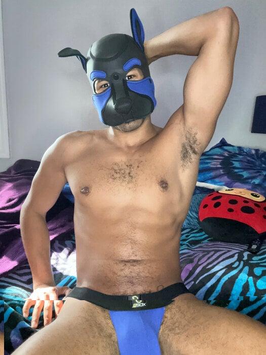 Puprocket profile picture