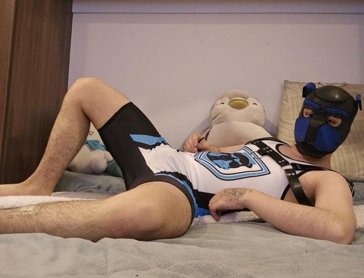 Brimstone Pup profile picture