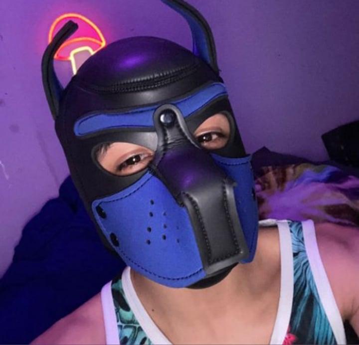 Pupgato profile picture