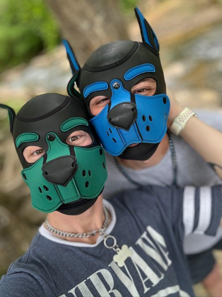 Puppy Knox &amp; Puppy Vana profile picture