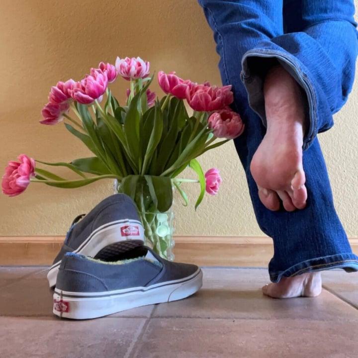 Queenofvans profile picture