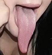 Reptil profile picture