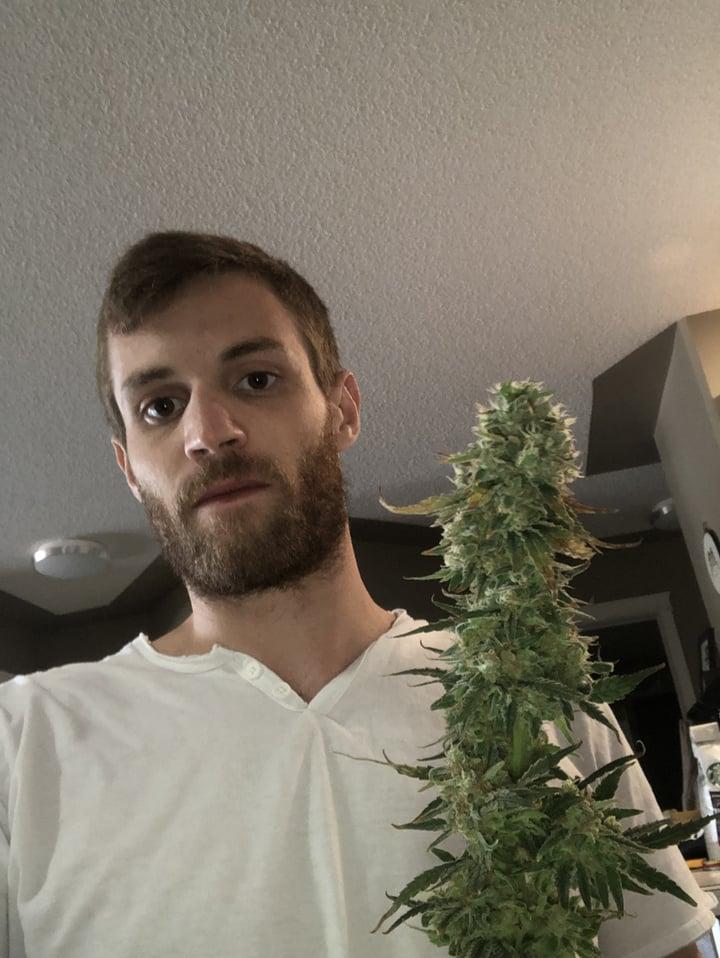 Rollinintheweeds profile picture