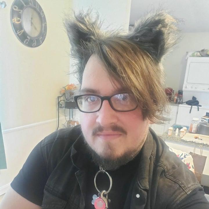 Roverdogg profile picture