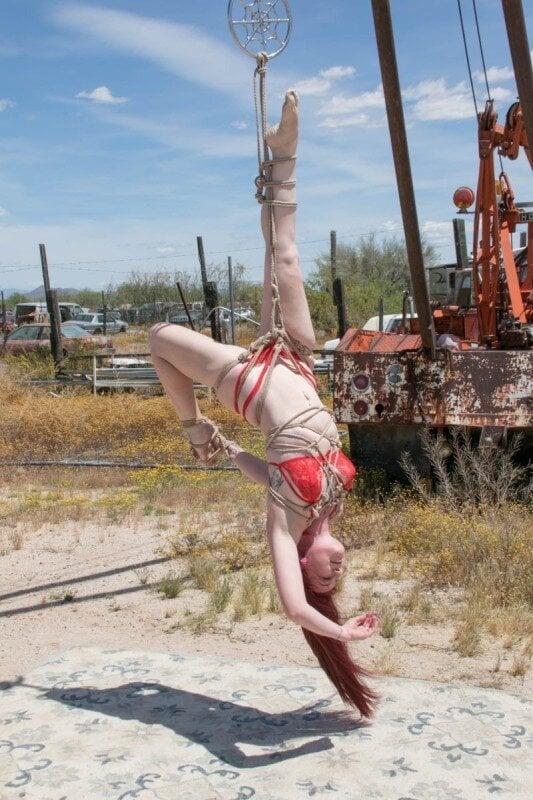 Scarlettlynnspinner profile picture