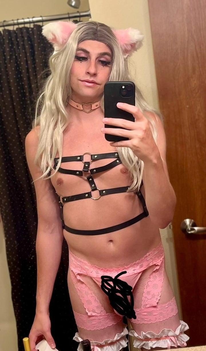 Sissycdcassandra profile picture