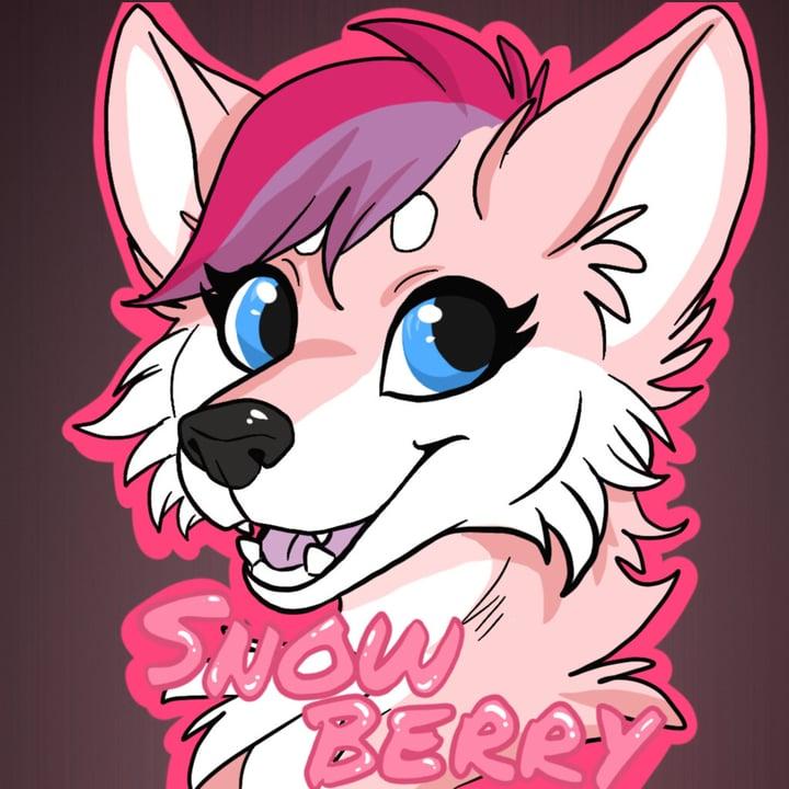 Snowberry profile picture