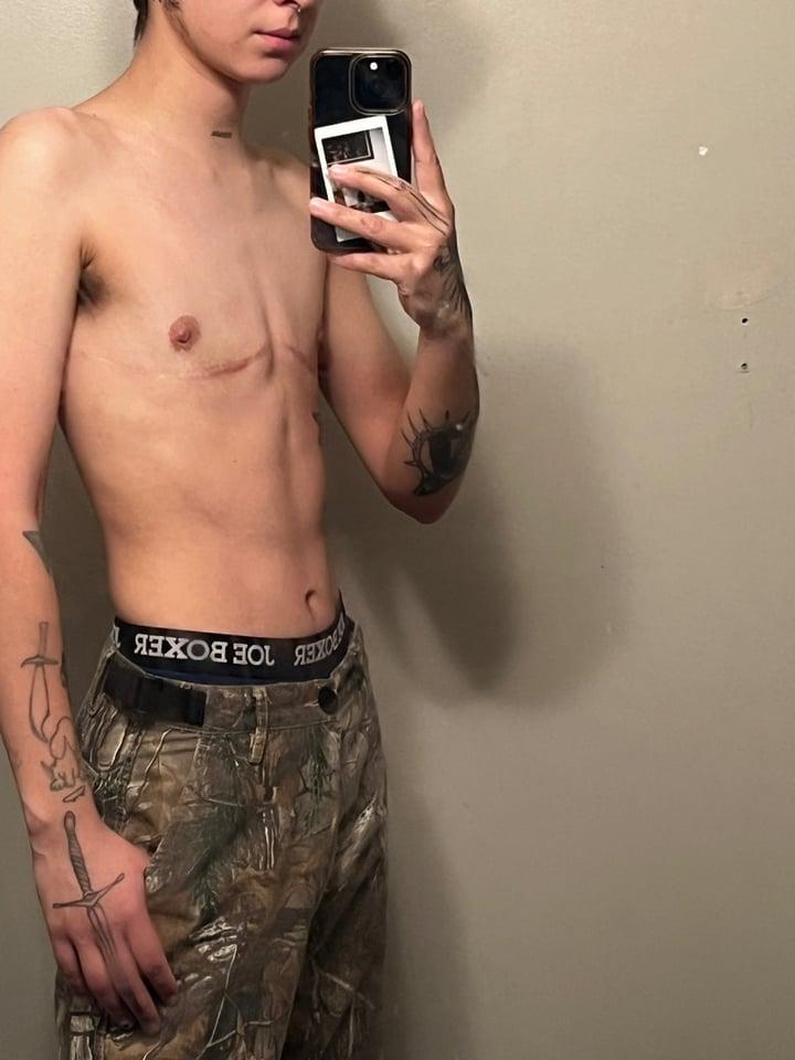 Swallowking profile picture