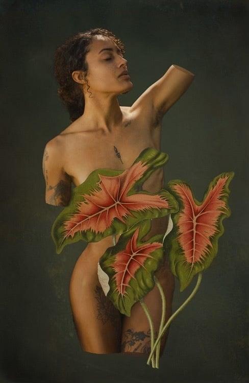 Tashmmxo profile picture