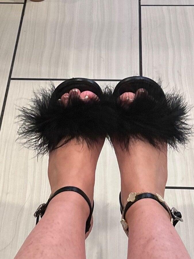 Ginger Toes profile picture