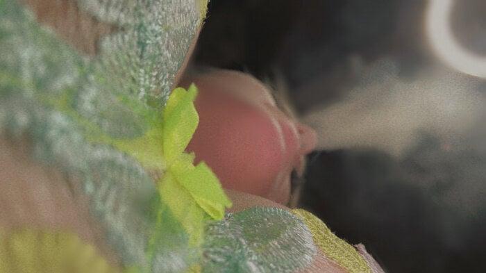 Thiccyxxxvip profile picture