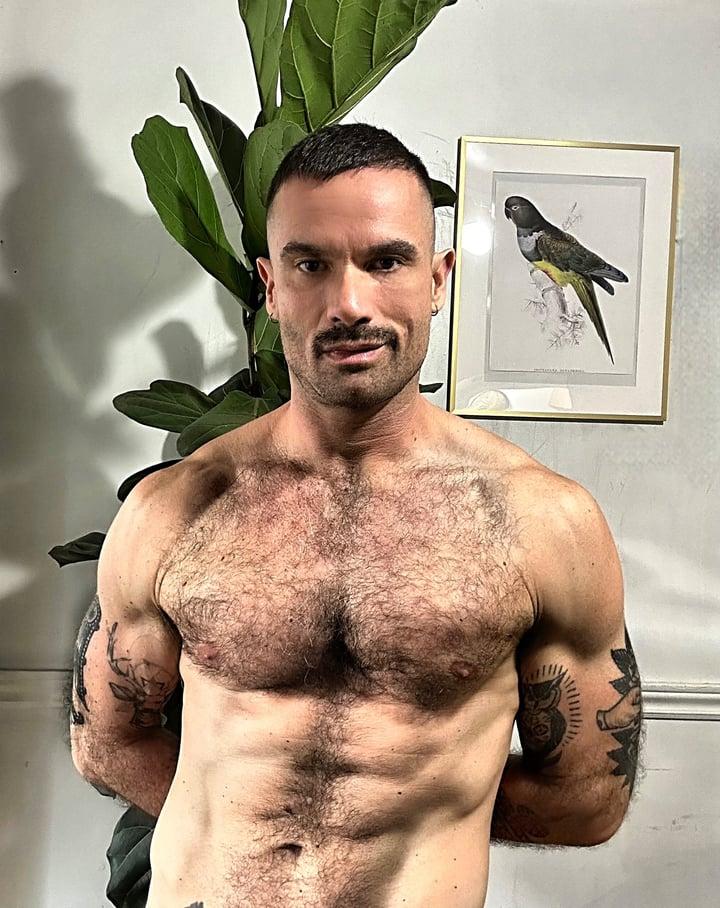 Titopatron profile picture