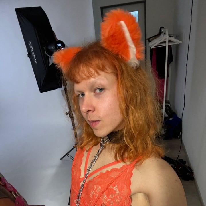 Vinnyfoxbrat profile picture