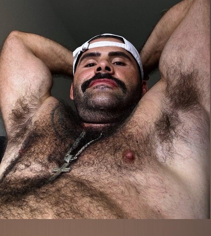 LOBO BRANCO  🐺 profile picture