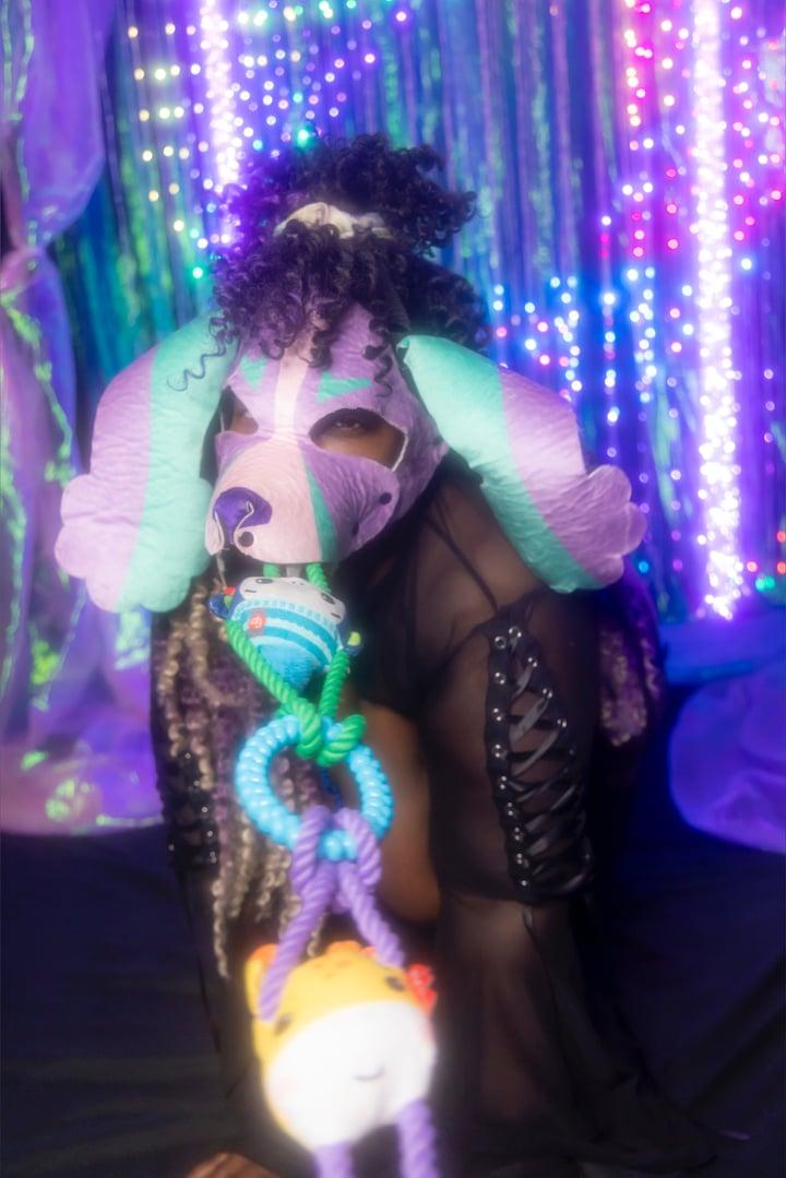 Xswitchylittlepuppx profile picture